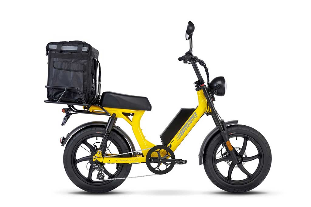 best delivery electric bike