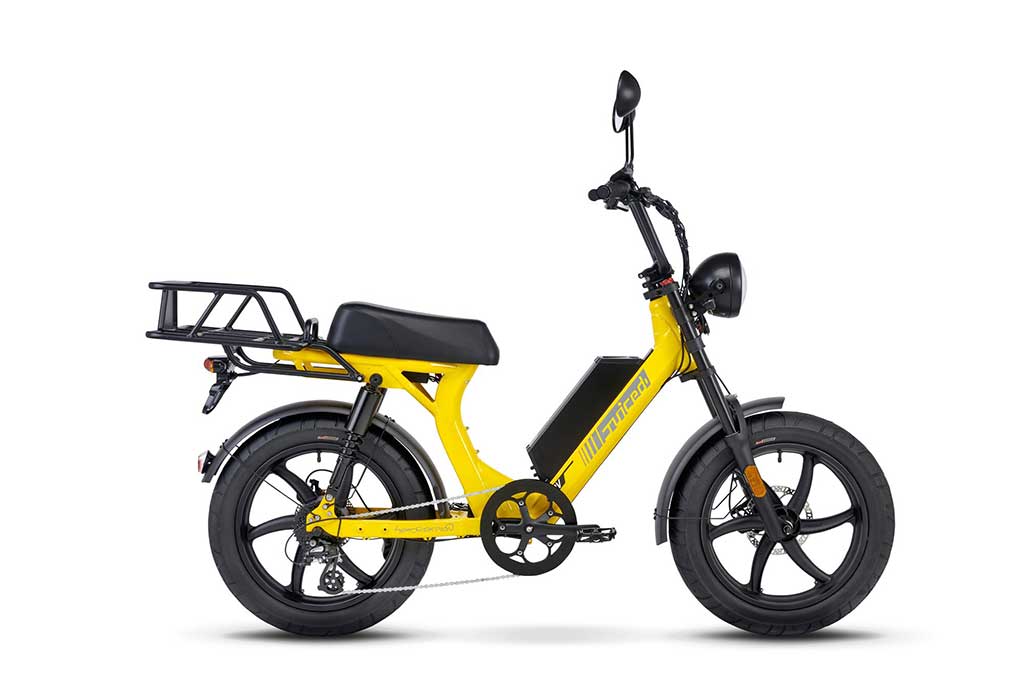 delivery electric bicycle